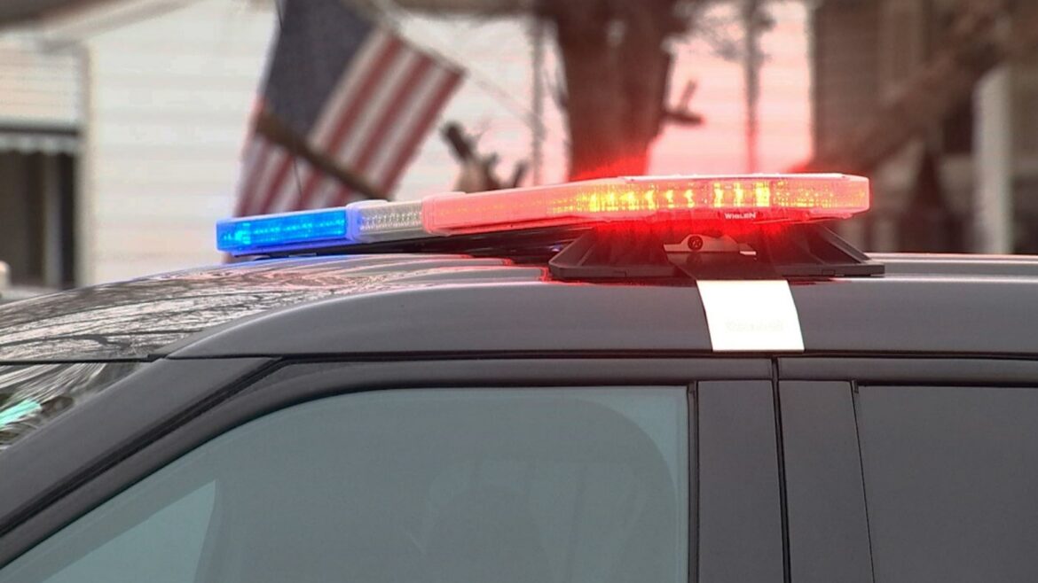 Bria Danielle McNeal-Williams Death News